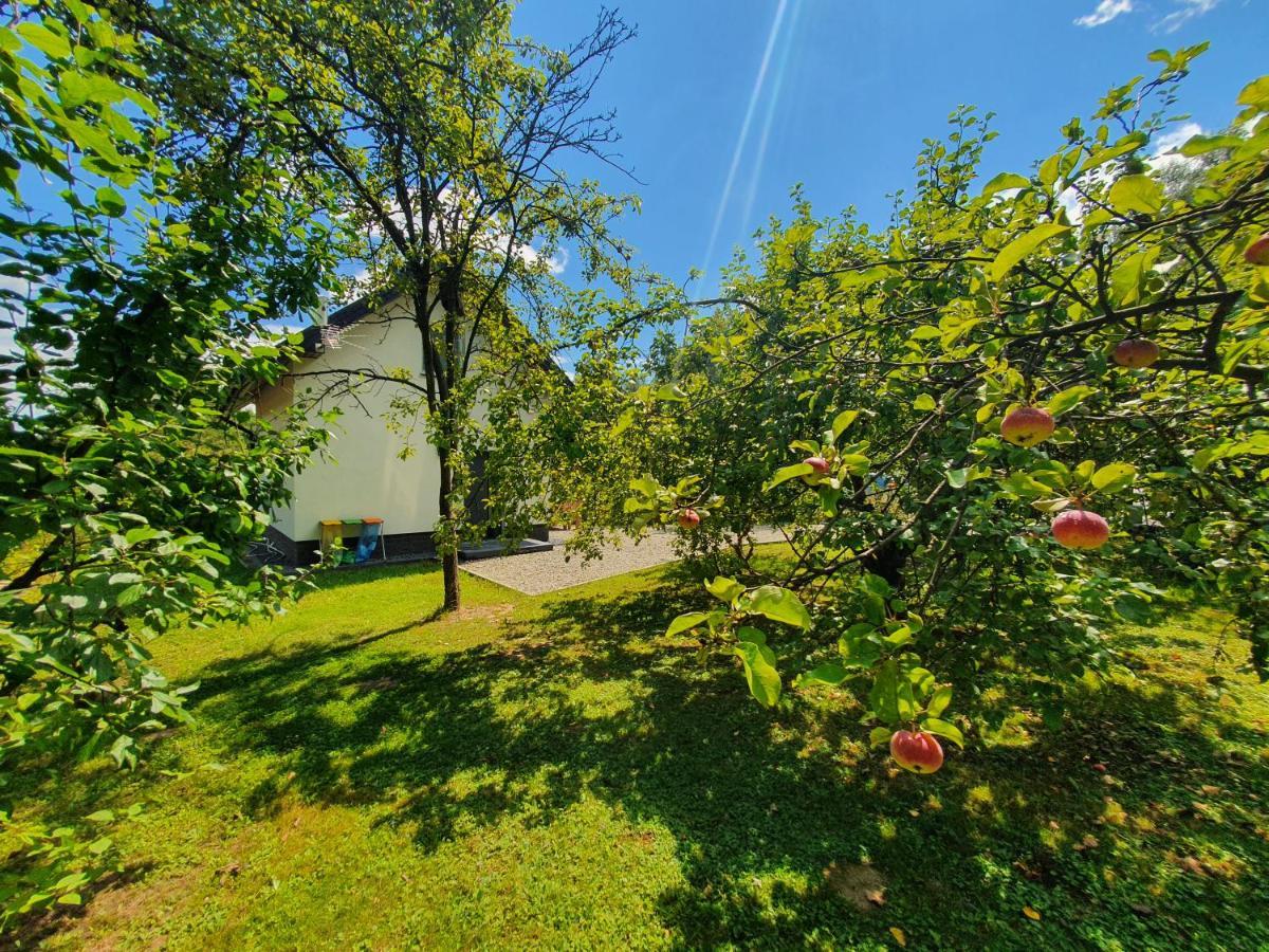 Tetmajera View & Garden Villa Dębica Exterior foto